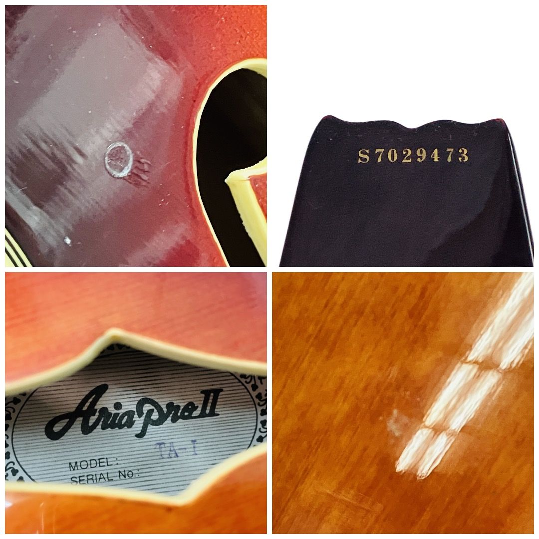 Aria Pro II TA-01 セミアコースティックギター ソフトケース付 中古