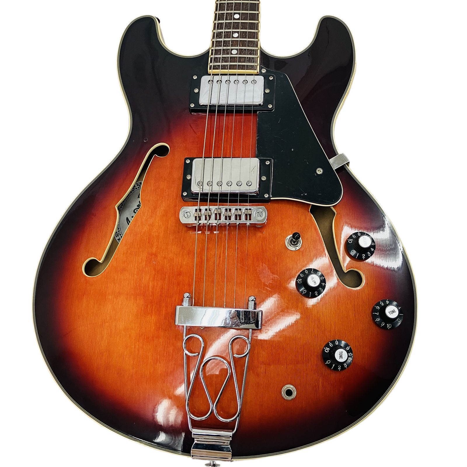 Aria Pro II TA-01 セミアコースティックギター ソフトケース付 中古