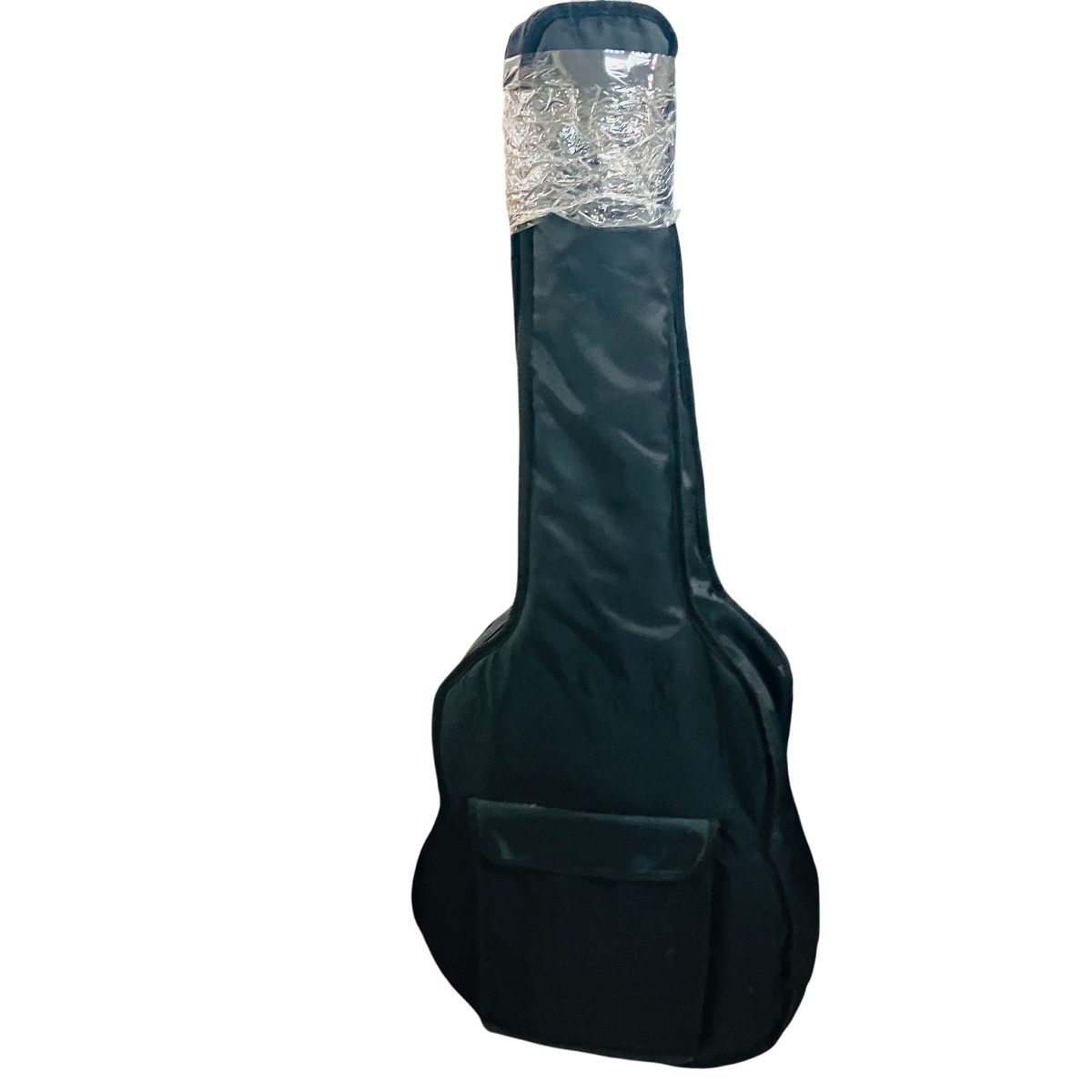 Aria Pro II TA-01 セミアコースティックギター ソフトケース付 中古