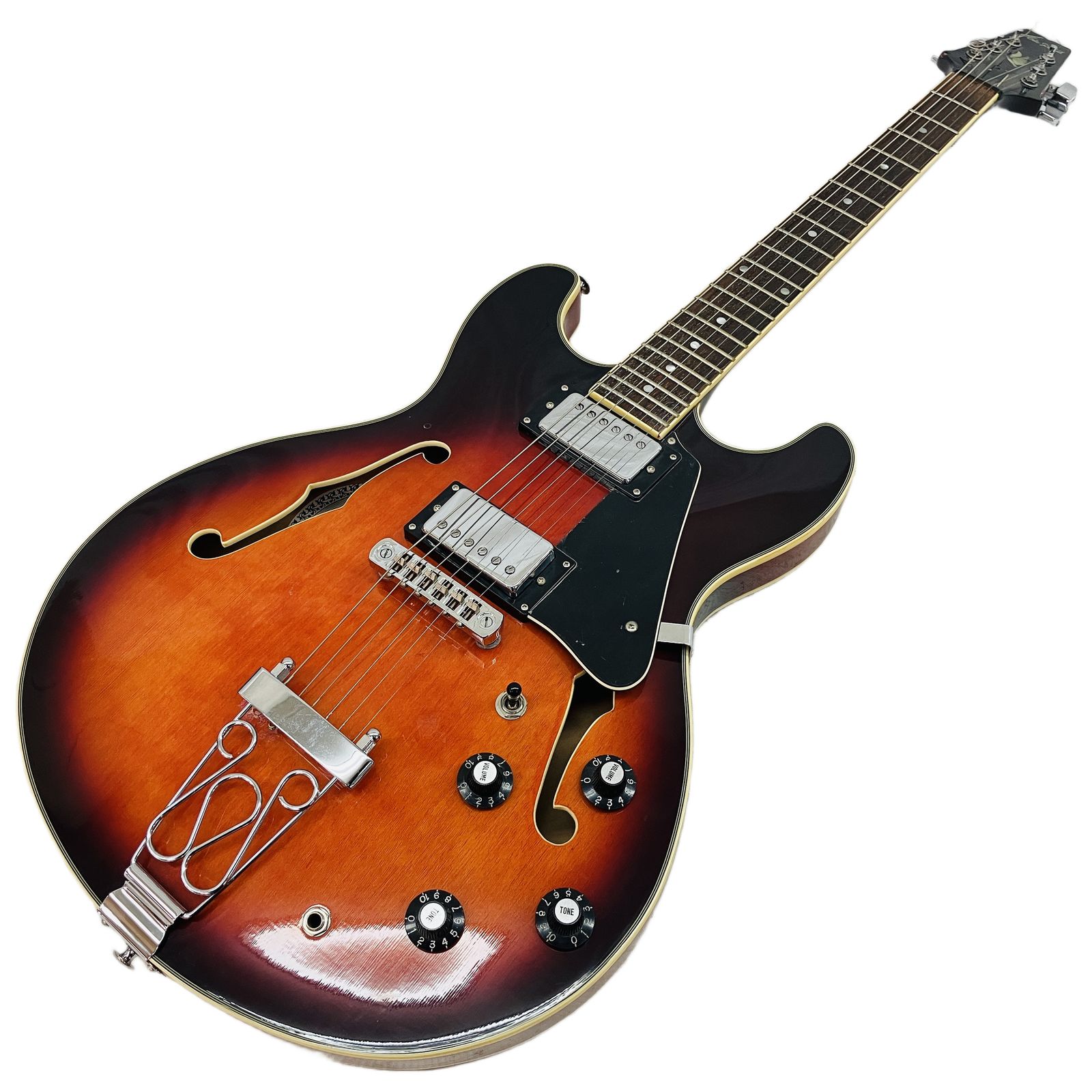 Aria Pro II TA-01 セミアコースティックギター ソフトケース付 中古