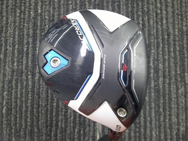 大型 希少 シェフレラ マルコ 曲がり仕立て 10号 陶器鉢 植え込み