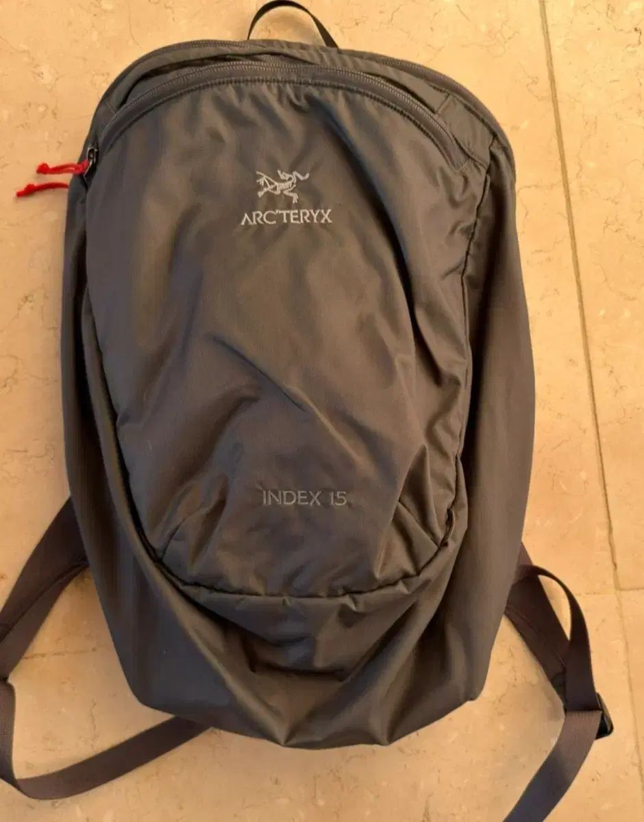 ARC TERYX アークテリクス INDEX インデックス 15 グレー