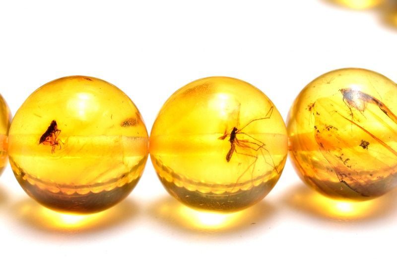 １点物 全粒内包 入荷 虫入り琥珀アンバー 9.5 mm ブレスレット パワーストーン 天然石 _MC 2473