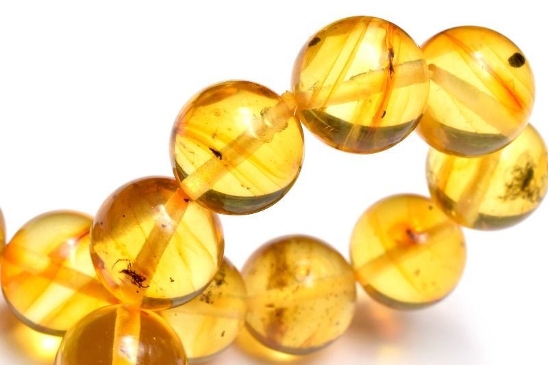 入荷 虫入り琥珀アンバー