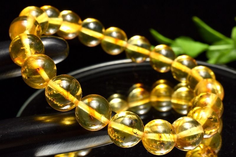 １点物 全粒内包