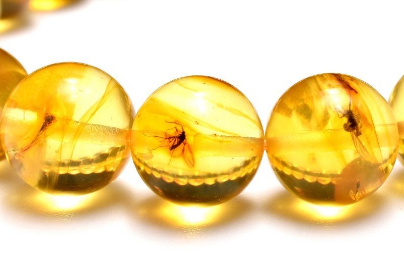 １点物 全粒内包 入荷 虫入り琥珀アンバー 9.5 mm ブレスレット パワーストーン 天然石 _MC 2472