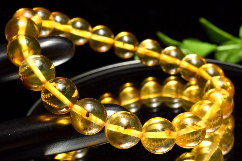 １点物 全粒内包