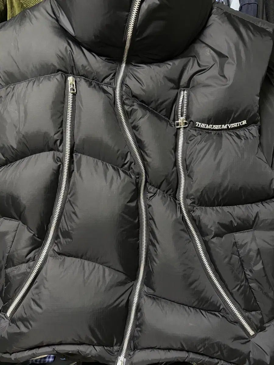 THE MUSEUM VISITOR ミュ