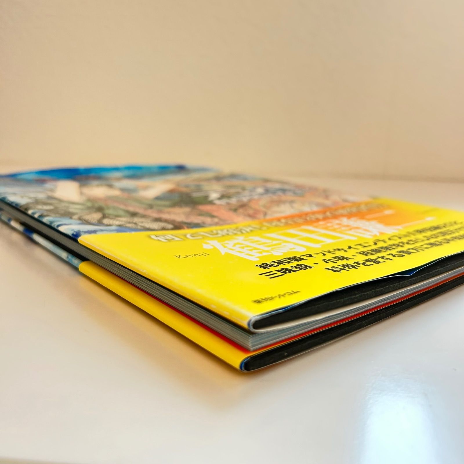 デンキ―科學処やなぎやとエマノン2冊 デンキ―科學処やなぎやとエマノン2冊