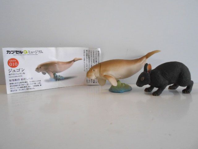 ♯Jsi17CDカプセルQ日本の動物2沖縄奄美やんばるの森2種 - メルカリ