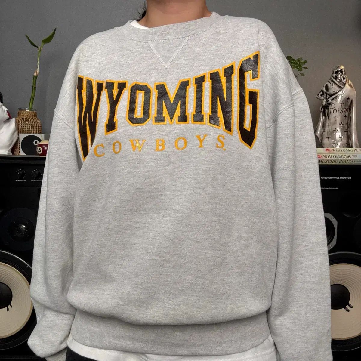 ト*ン様 日本未発売 HPI RS4 3EVO⁺ マスタング 完全動作品 エンジ ト*ン様 日本未発売 HPI RS4 3EVO⁺ マスタング 完全動作品 エンジ 日本