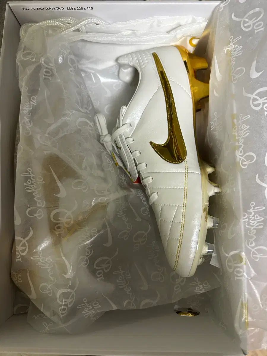 ナイキ ティエンポ ホナウジニョ RGN FG SE サッカーシューズ