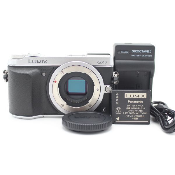 ショット数6016！□良品□ PANASONIC パナソニック ミラーレス一眼