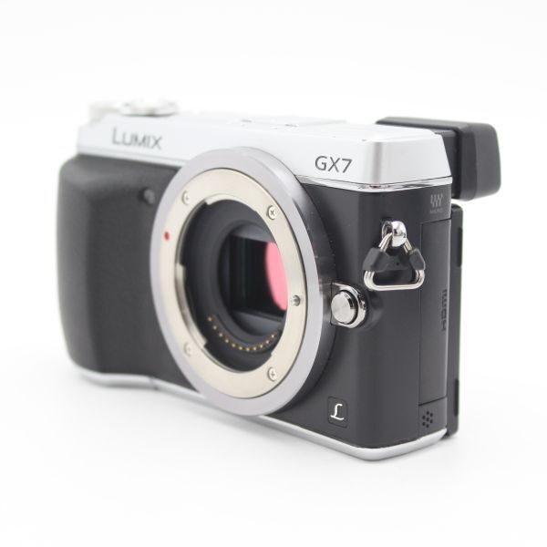 ショット数6016！□良品□ PANASONIC パナソニック ミラーレス一眼