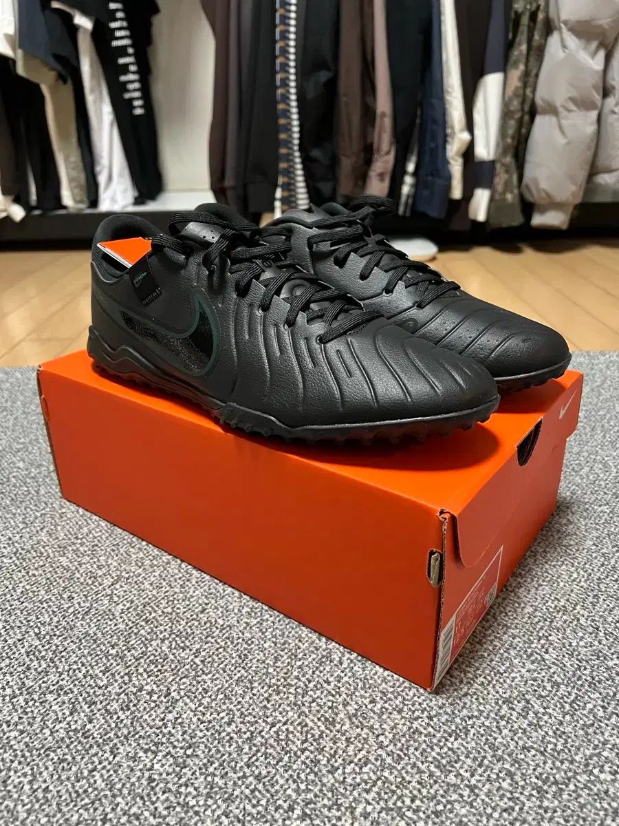 ベルベット&イエローチェリーシュリンプ 計30匹 雌雄無選別水槽より発送