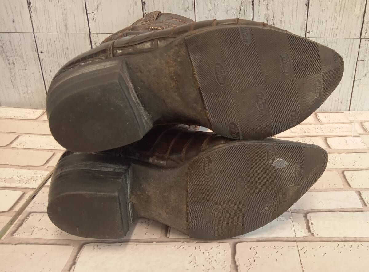 クロコダイル カイマン