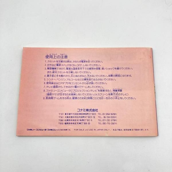 パセリ城|ファミリーコンピューター 6