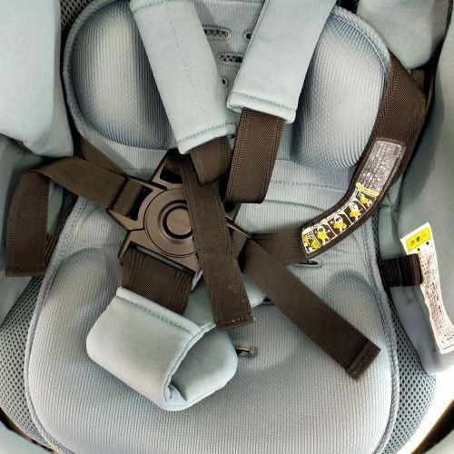 ブルイッシュグレー