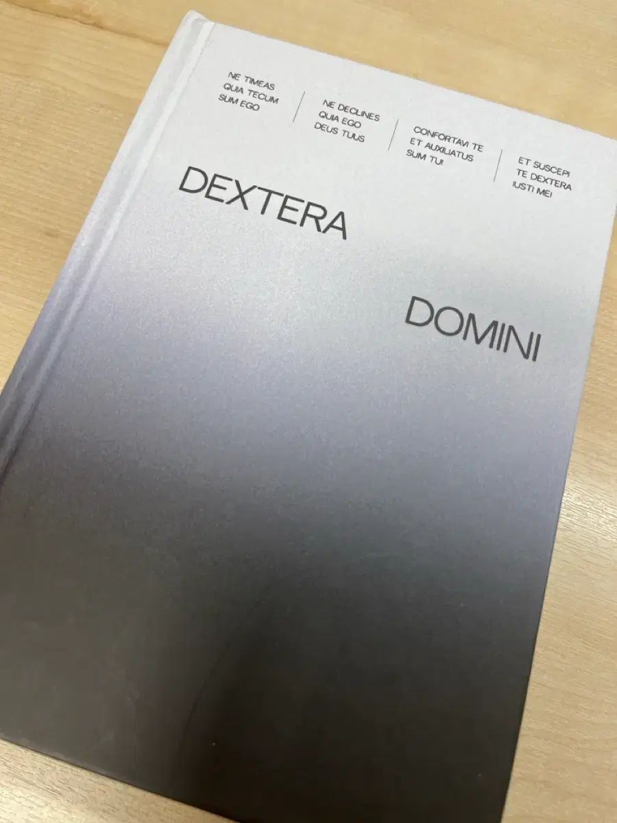 NCT エヌシーティー ジェド ポタ 所蔵用 ロウン RO WOON 右手