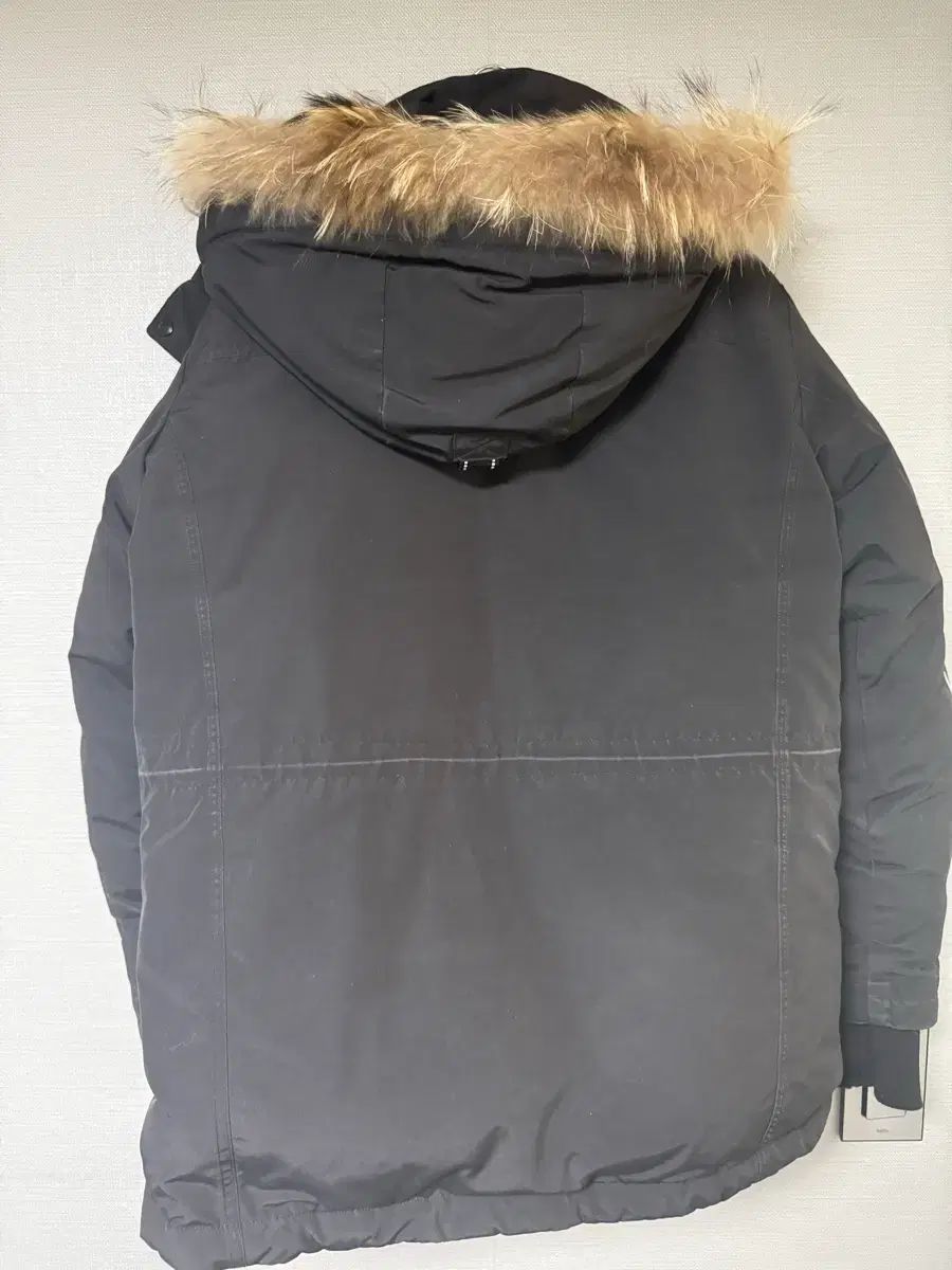 EIDER ダウン XL 【公式通販】