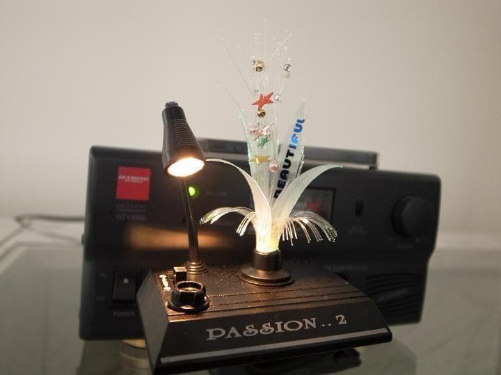 き 光ファイバー パッション 水中花 暴走族 旧車 ラスト１