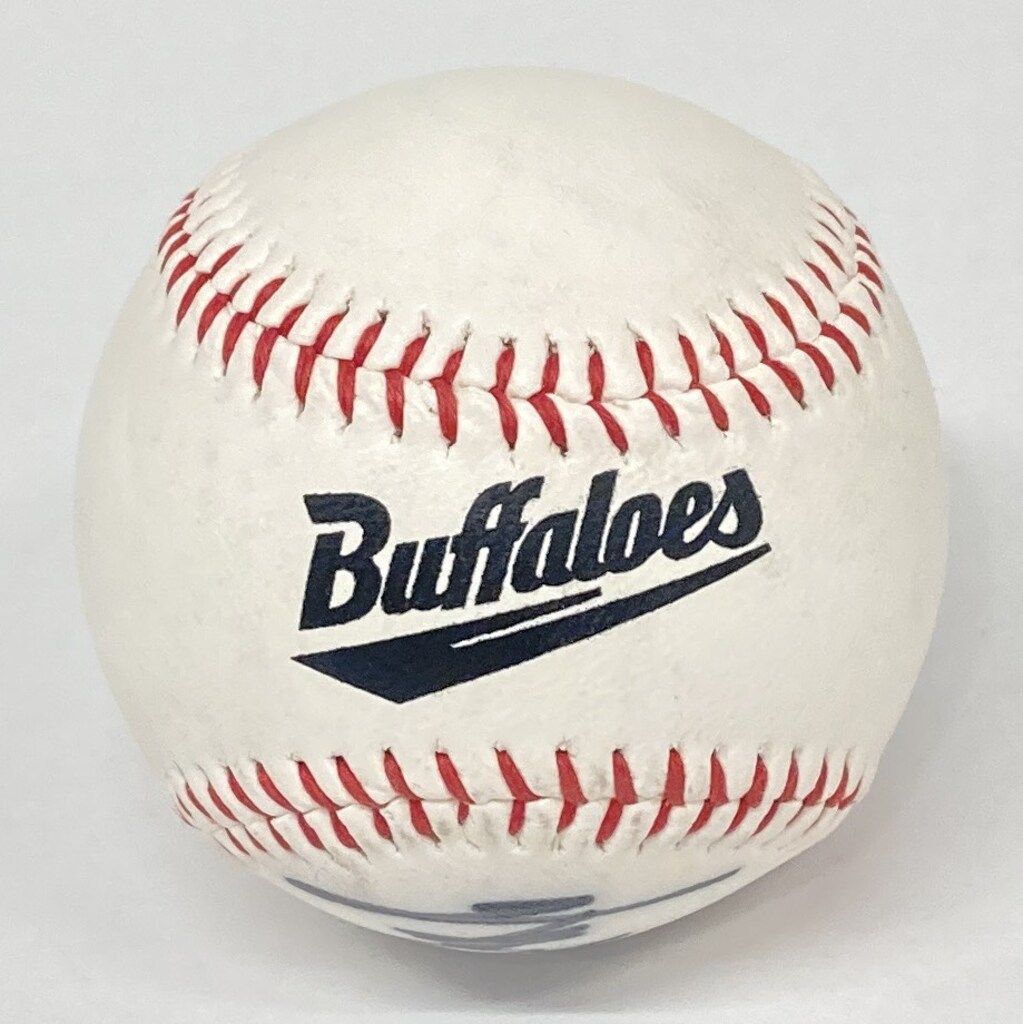 大阪近鉄バファローズ 赤堀元之 直筆サインボール - メルカリ