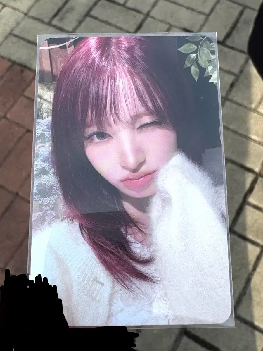 IVE アイズ 写真カード 公開番組 サノク