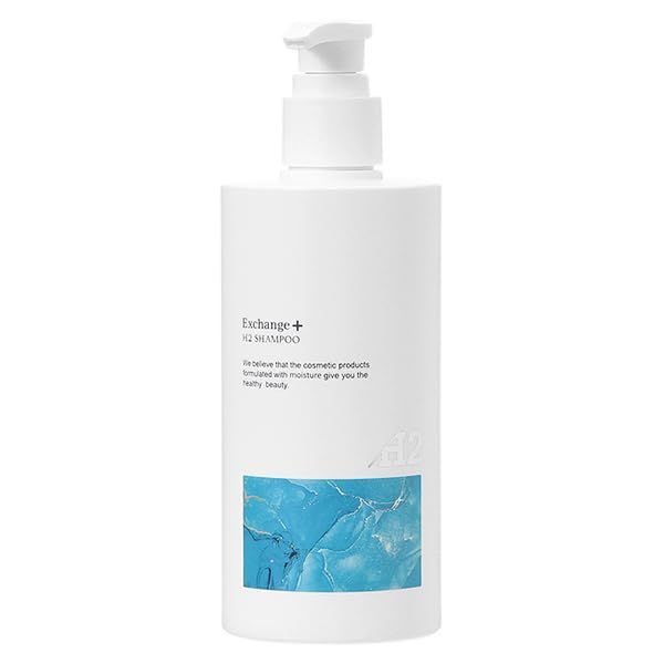 新品 ストリ STRi エクスチェンジ プラス H2 シャンプー 300mL EXCHANGE+ シャンプー サロン専売品