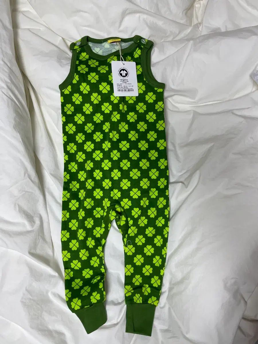 ダン クローバ 抹茶 덩거리 80