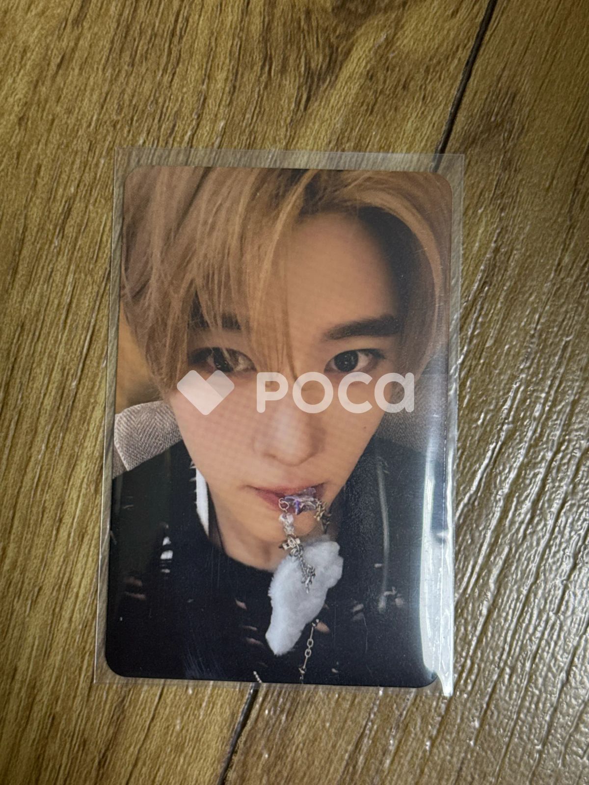 NCT シオン NCT WISH THE 1ST PHOTO EXHIBITION [ONE SUMMER WISH