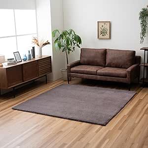 イケヒコ ラグ おしゃれ 長方形 ふわふわ 冬 フェイクファー 無地 ココアブラウン 約