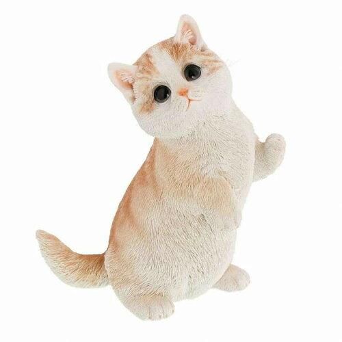 Super Special Price ベニーズキャット QB-009 BR 入数 6