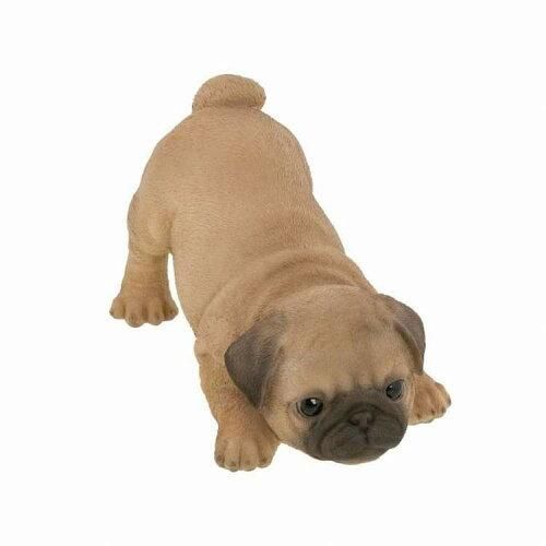 Super Special Price パグ QB 006 A 入数 6