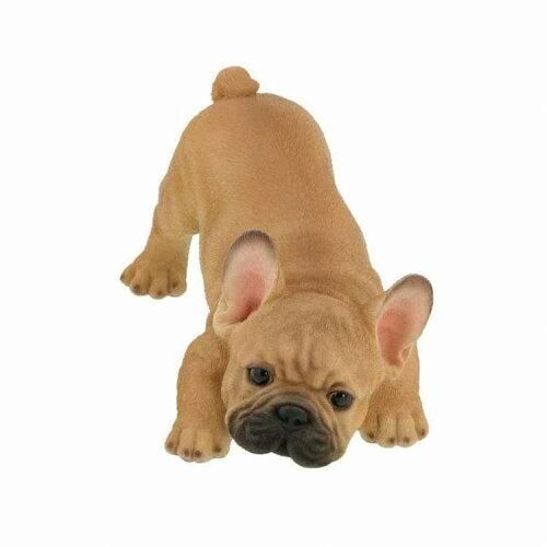 Super Special Price フレンチブル QB 006 B 入数 6