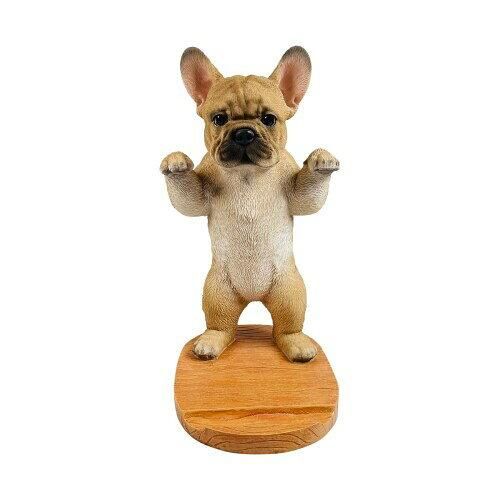 Super Special Price アニマルスタンド QY 244 B 入数 6