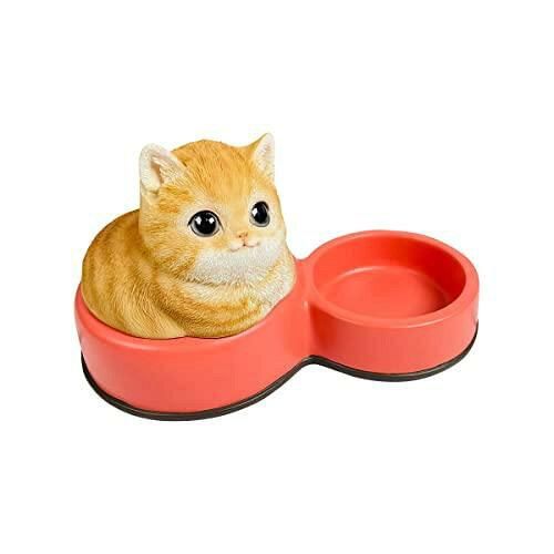 Super Special Price ベニーズキャット QY-241 Y 入数 6