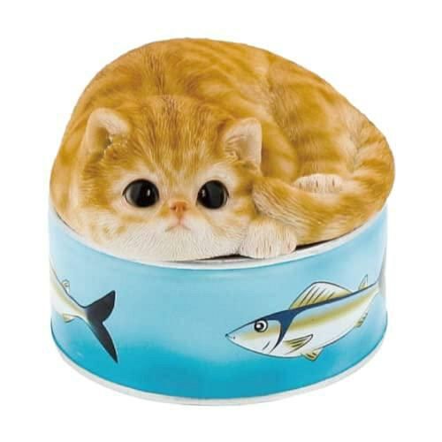 Super Special Price ベニーズキャット QY 239 Y 入数 6