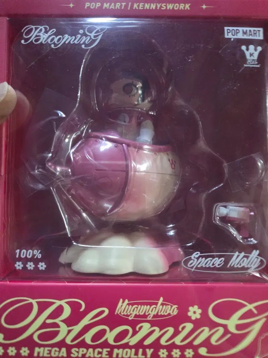 MEGA MOLLY 100% ムクゲ