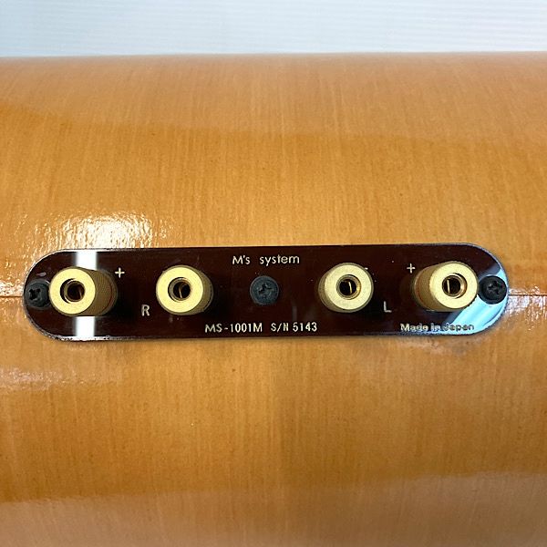 M’s system エムズシステム MS 1001 Pro 店舗施設 スピーカー プロフェッショナル タイプ カバー付 天井用フック付 118679