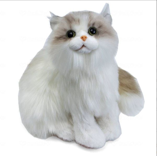 なでなで猫ちゃん 子猫ちゃん ラグドール