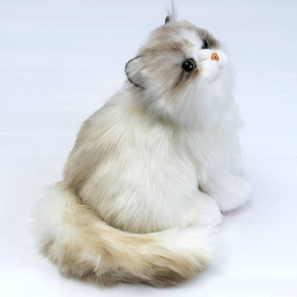 なでなで猫ちゃん 子猫ちゃん ラグドール