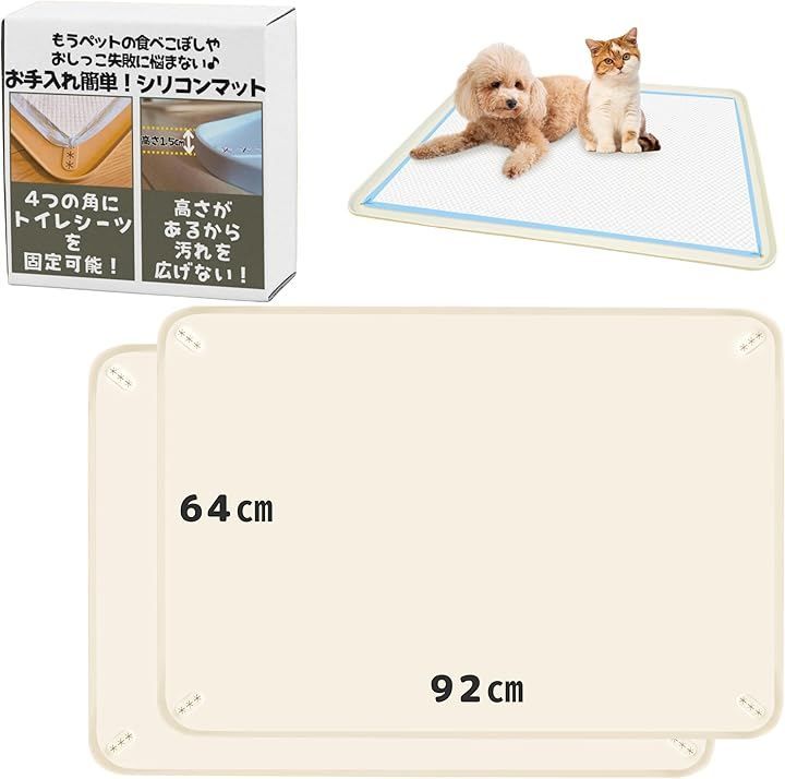 野々内良樹、【チョウゲンボウ】、希少な額装用画集より、美品、新品