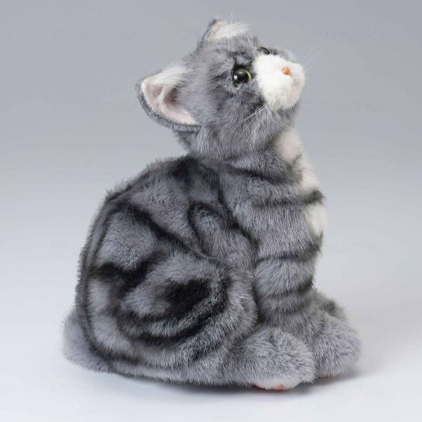 なでなで猫ちゃん 子猫ちゃん アメショー