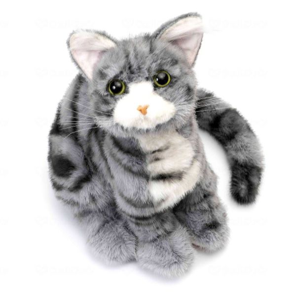 なでなで猫ちゃん 子猫ちゃん アメショー