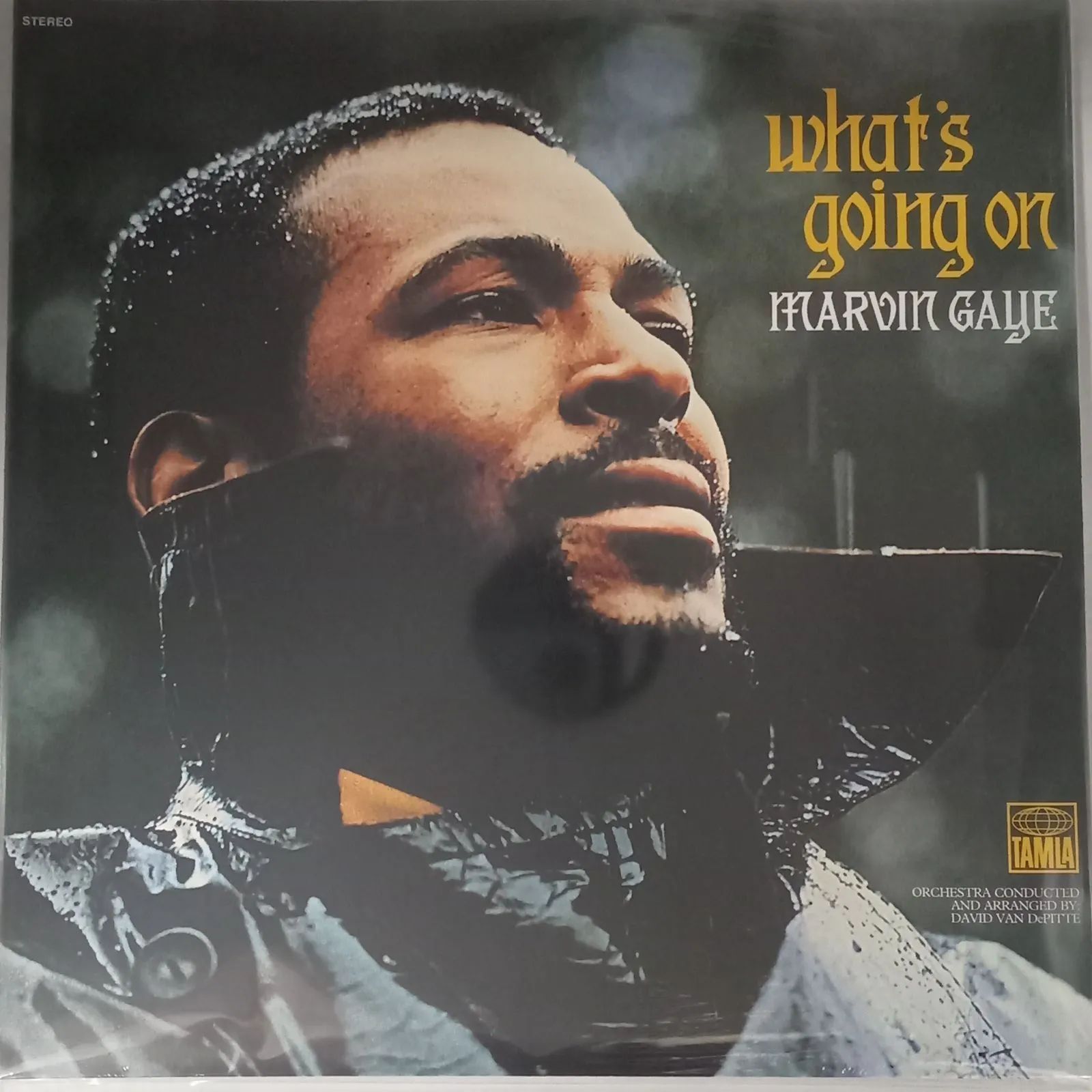 新品LP】マーヴィン・ゲイ（Marvin Gaye）- ホワッツ・ゴーイング