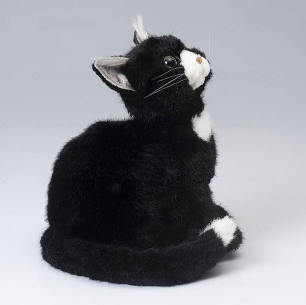 なでなで猫ちゃん 子猫ちゃん ハチワレ