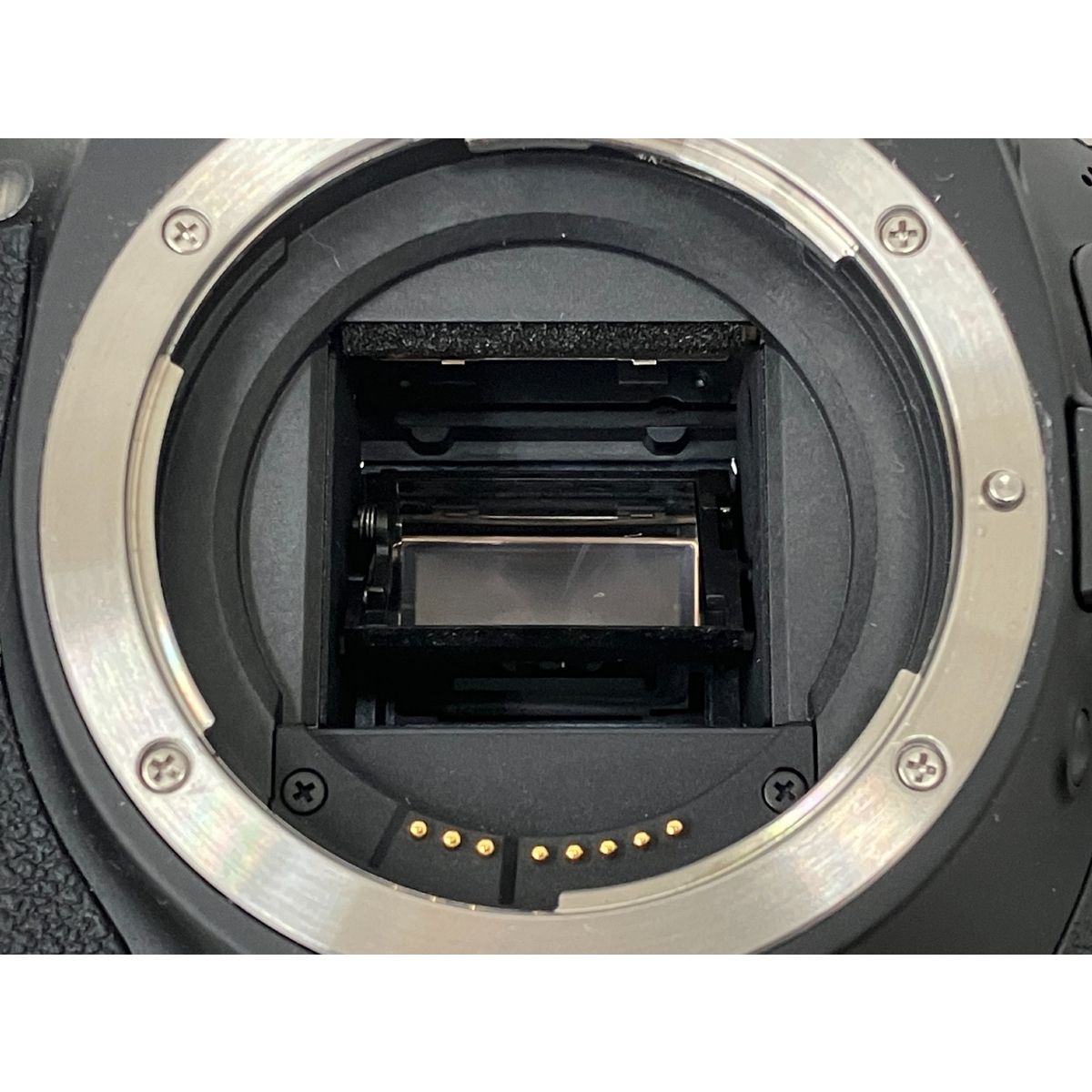 レンズ付き ブラック