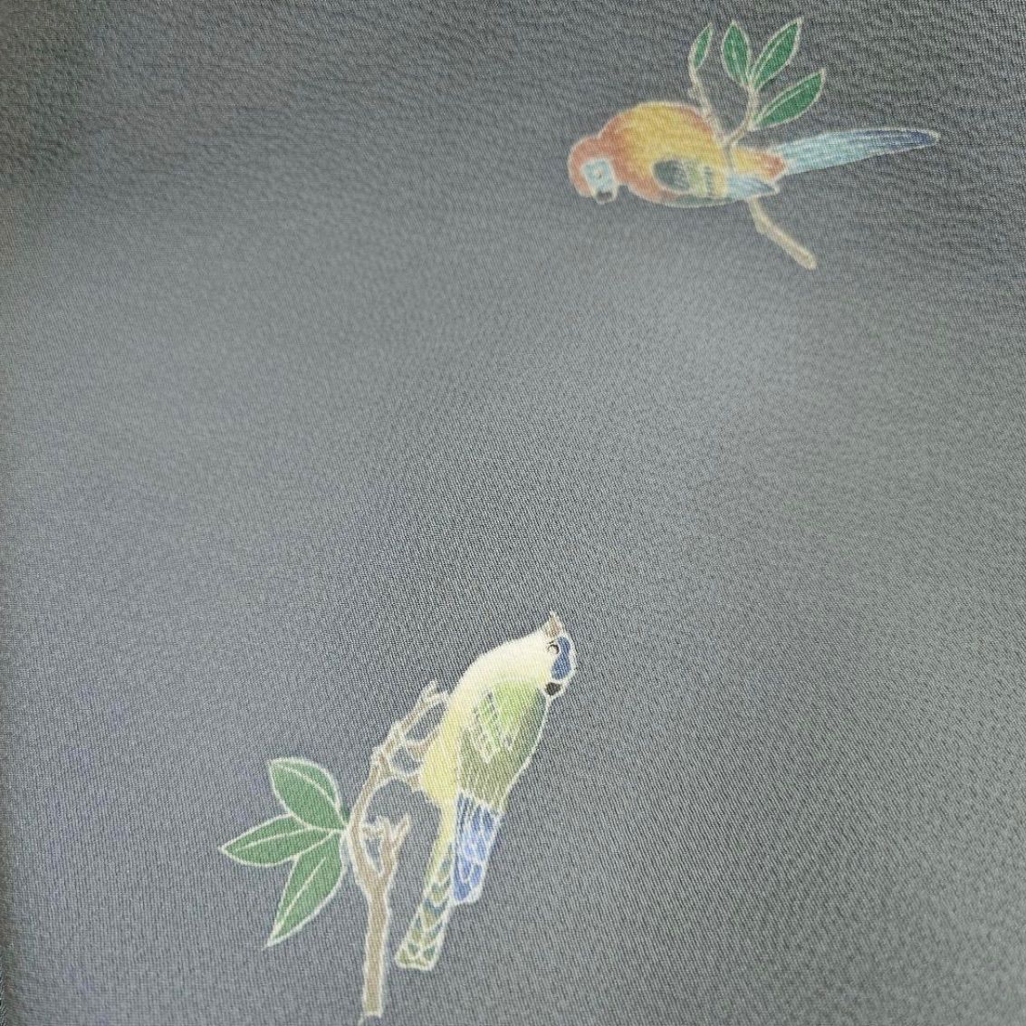 ◇kimono+one◇kimonoarisa◇厳選◇単衣◇未使用同然◇手描き友禅の