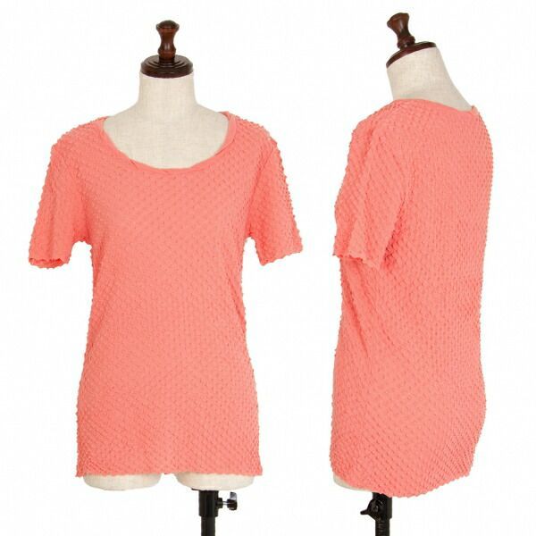 イッセイミヤケ ハートISSEY MIYAKE HaaT コットン棘半袖カットソー