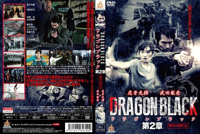【中古-非常に良い】DRAGON BLACK 第2章 [DVD]